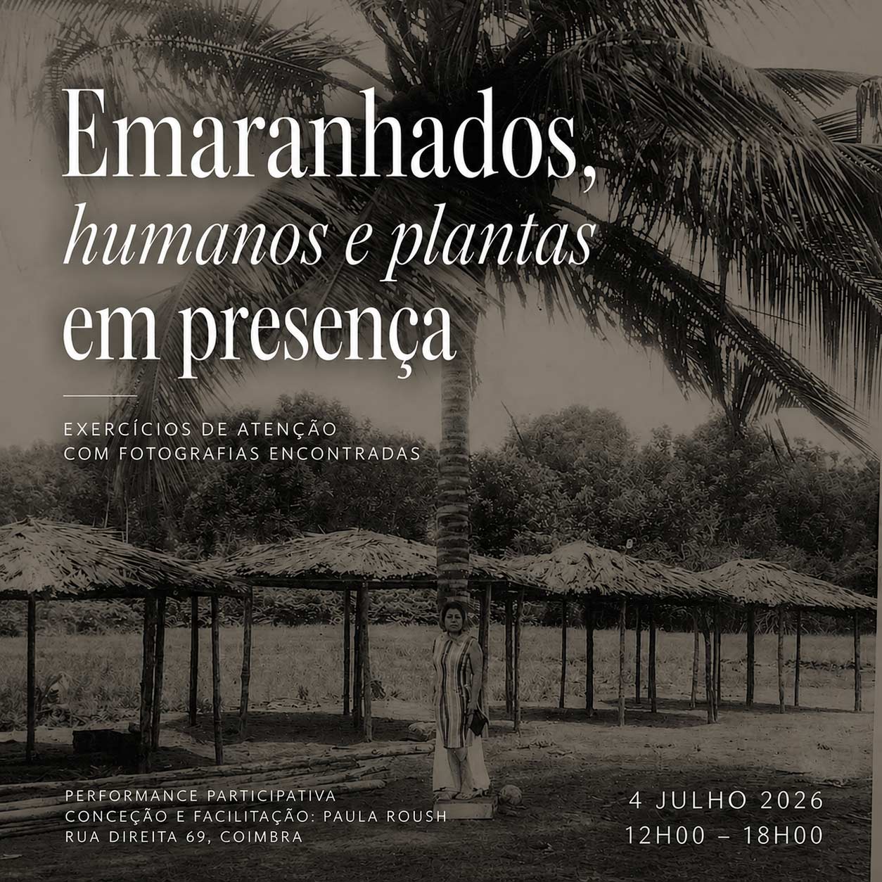 emaranhados-paula-roush-anozero26