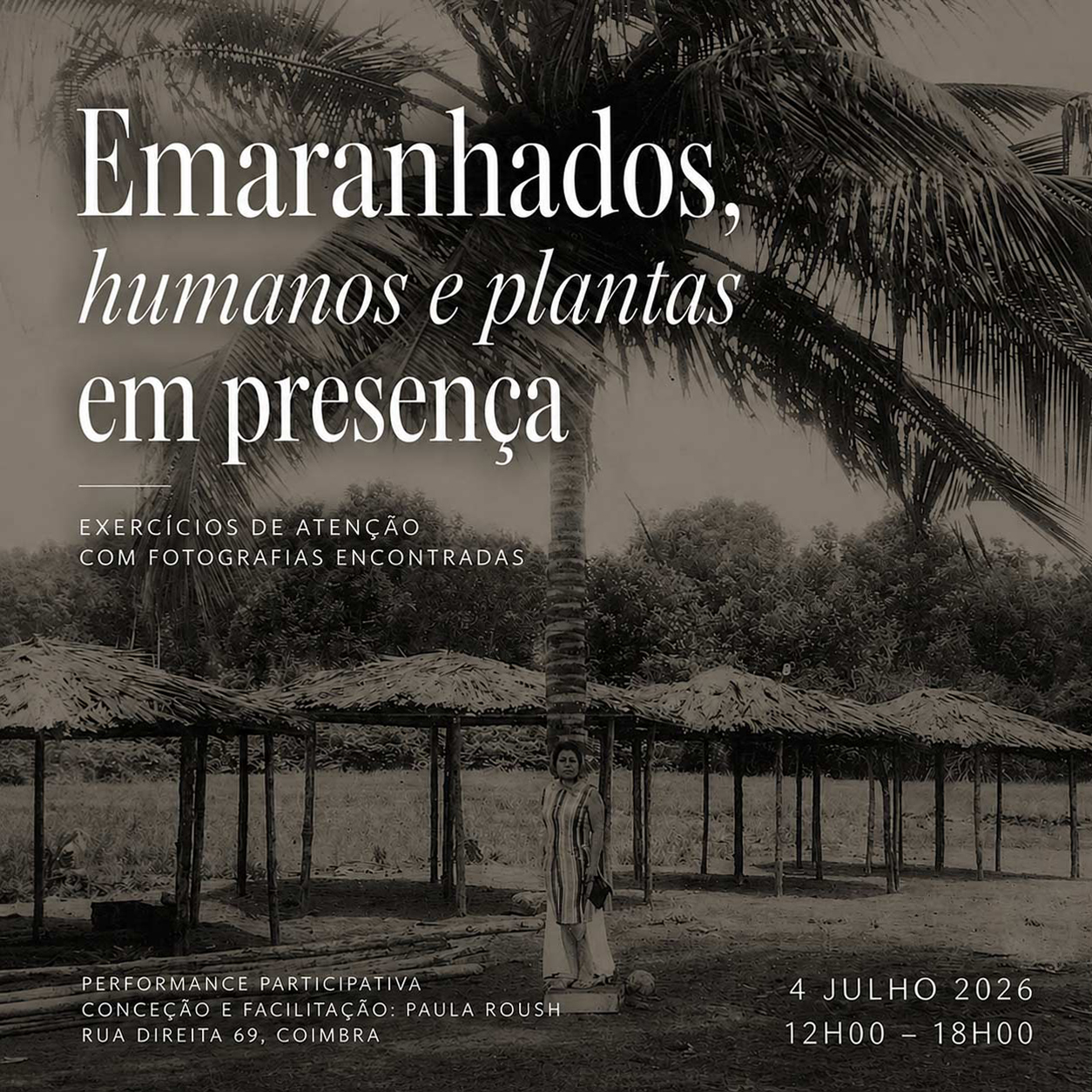 emaranhados-paula-roush-anozero-02