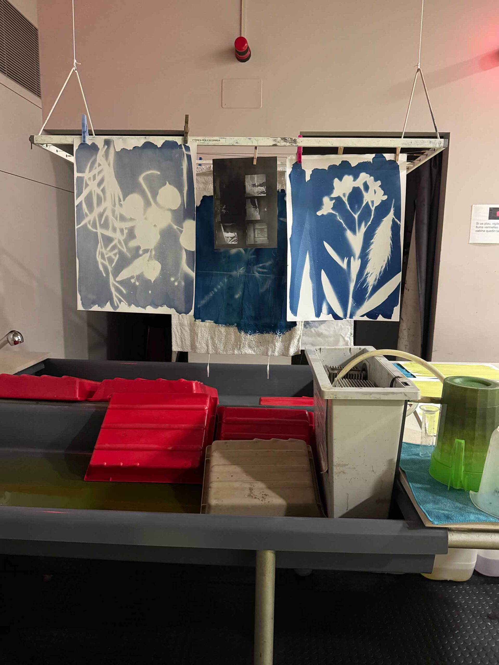 msdm-experimental-26-solar-cyanotypes-parc-ciutadella-02