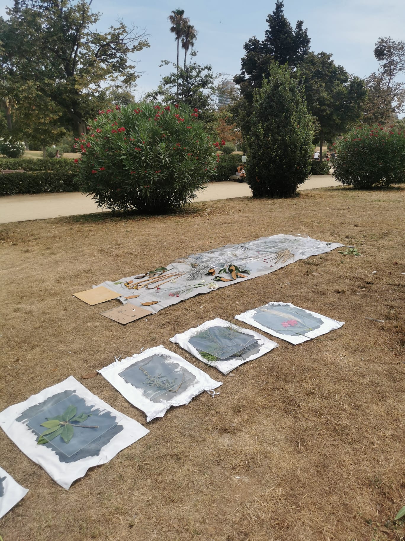 terrain-vague-ecologies-msdm-photo-by-carla-steuerwald-08