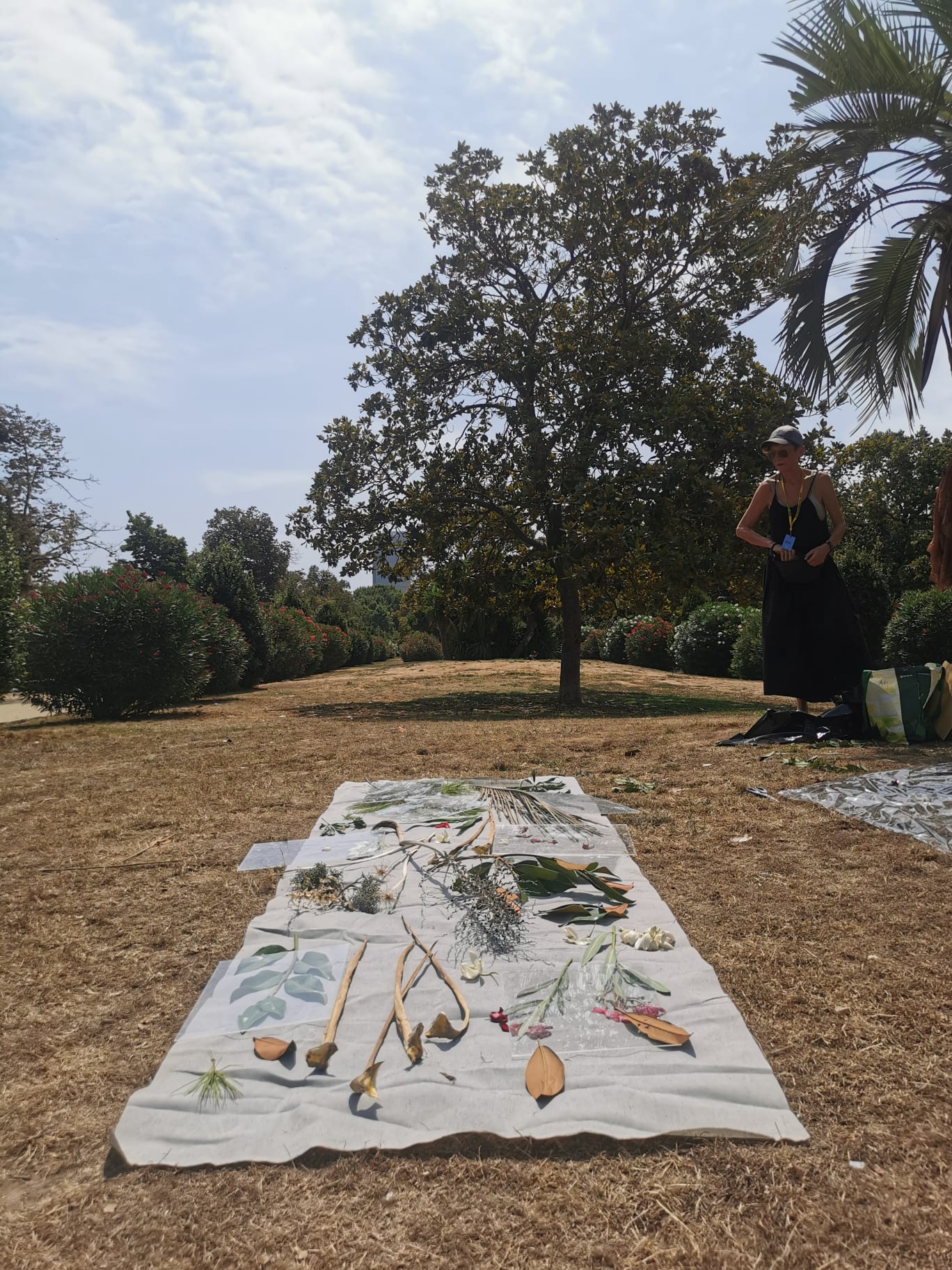 terrain-vague-ecologies-msdm-photo-by-carla-steuerwald-09