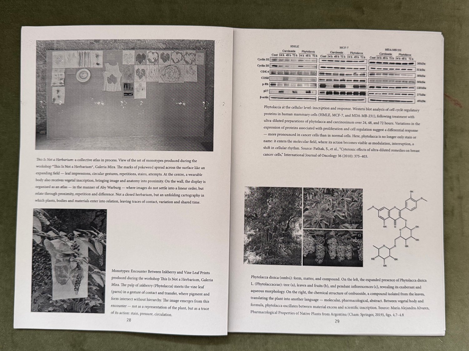 Metabolic Herbarium-paula-roush-msdm-publications-01