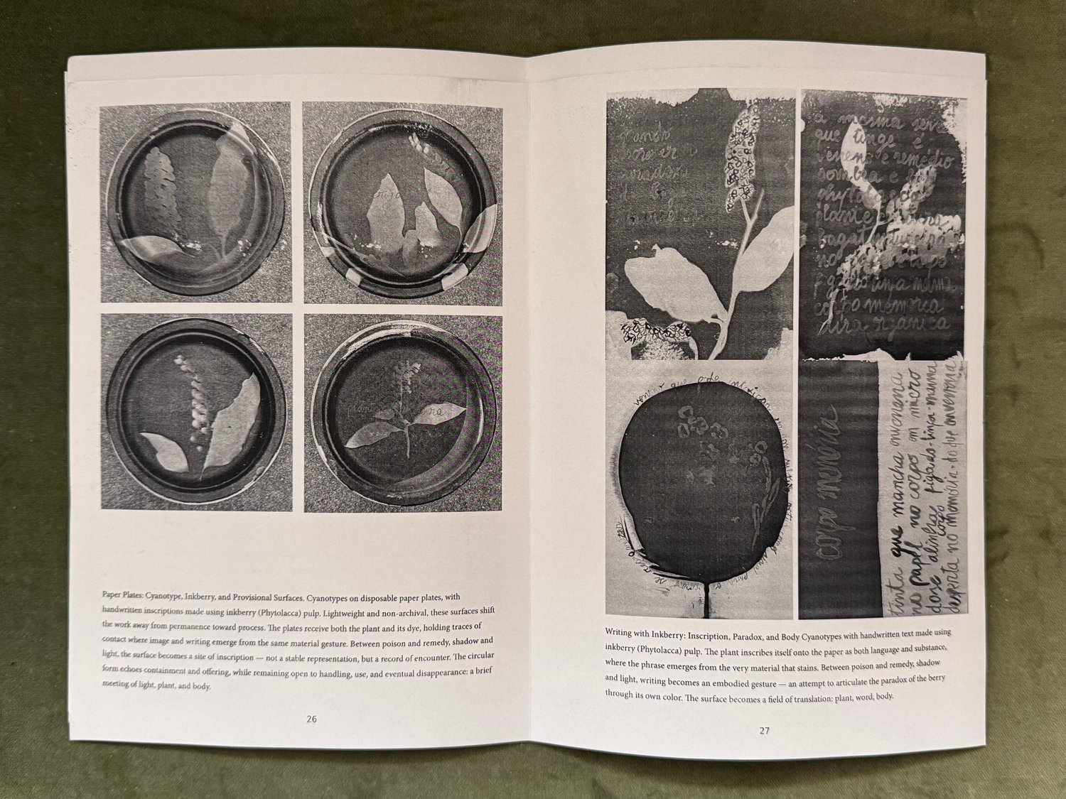 Metabolic Herbarium Plant–Body Relations, Image Making and Ecologies of Care